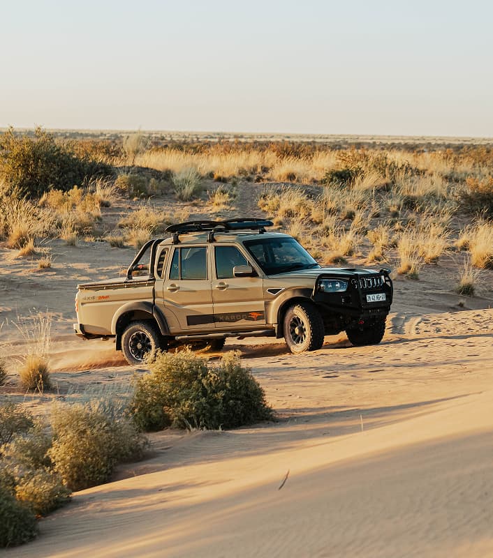 Karoo Dawn — Rear stance
