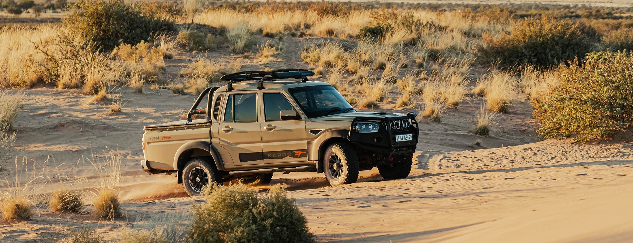 Karoo Dawn — Rear stance