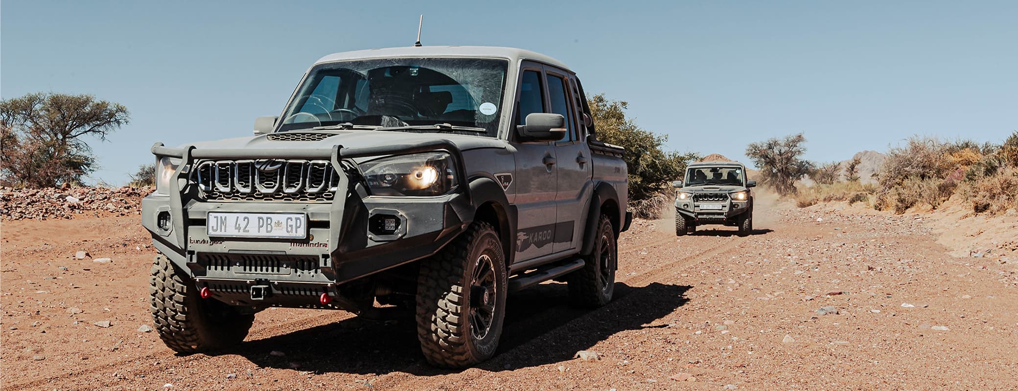 Karoo Storm — Rear stance